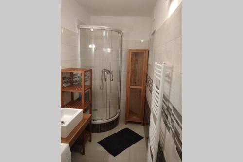 Koupelna v ubytování Apartmán se zahradou v Protivíně č.2