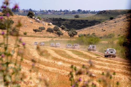 a group of vehicles driving down a dirt road at Arbel Guest House Shavit Family in Arbel