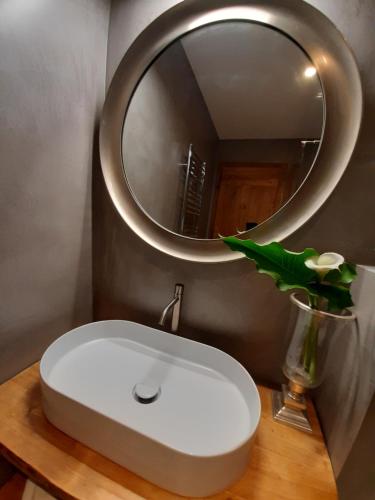 a bathroom with a white sink and a mirror at Dvor Vipolže in Dobrovo