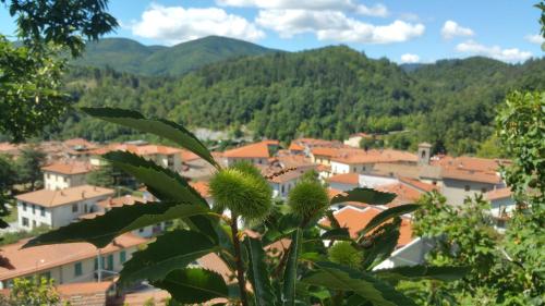 Gallery image of Hotel La Pace in Maresca