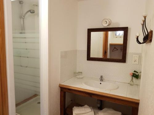 a bathroom with a sink and a mirror and a shower at Les Roberderies in Broc