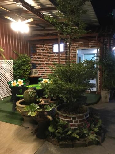 a group of potted trees and plants in a room at ลีลาวดีอพาร์ทเมนท์ in Khon Kaen