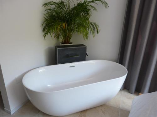 een wit bad in een kamer met een potplant bij Huize Triangel - Wellness studio met sauna in Noordwolde