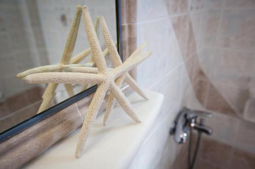 two starfish on the ledge of a bathroom window at Golden Bay in Agios Prokopios