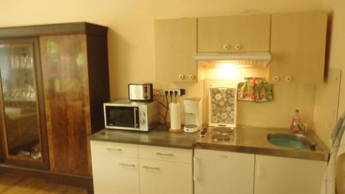 eine Küche mit einer Arbeitsplatte und einer Mikrowelle in der Unterkunft Unterkunft Steffie in Potsdam