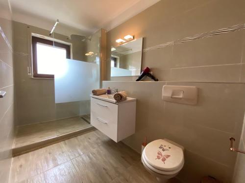 a bathroom with a toilet and a sink and a mirror at Lorbeer in Uhldingen-Mühlhofen
