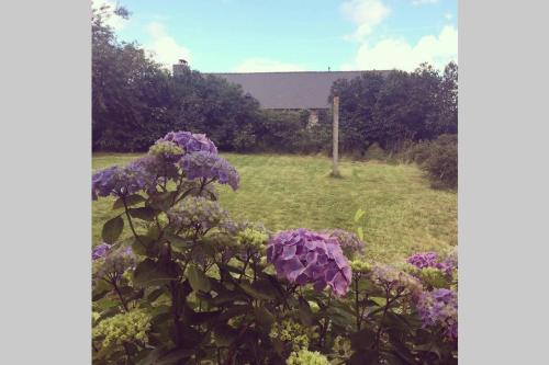 a garden with purple flowers in a field at Maison de vacances en pierre entre terre et mer in Pluduno