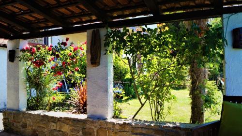 Apartments Garden – Photos 5