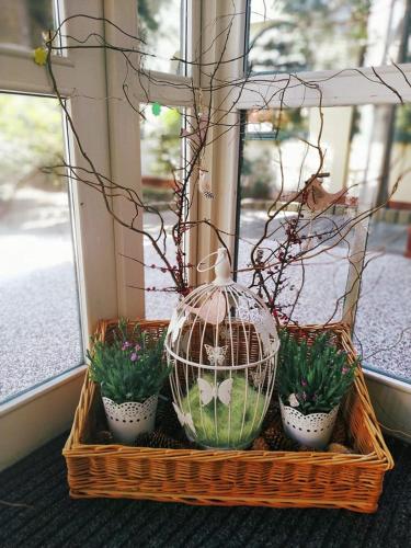 a basket with a bird cage and some plants at Motel Vega in Sezimovo Ústí