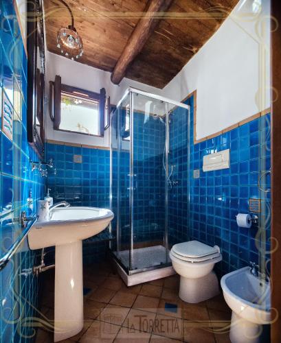 a blue tiled bathroom with a shower and a toilet at B&B La Torretta in Maratea