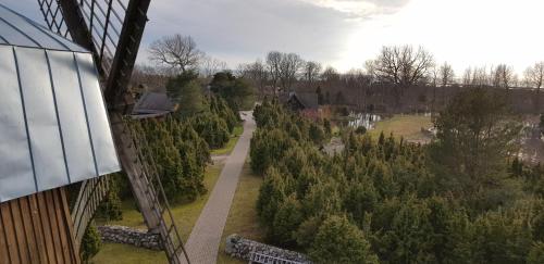 an overhead view of a christmas tree farm at Mardi Farm Stay in Karala