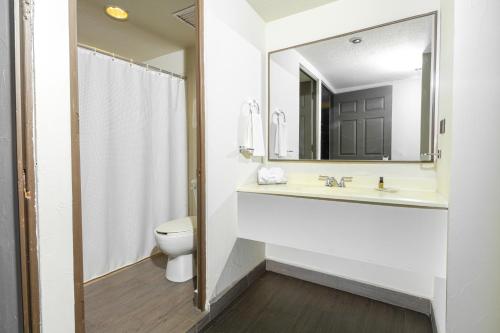 een badkamer met een wastafel, een toilet en een spiegel bij Hotel Plaza del Arco - Monterrey in Monterrey