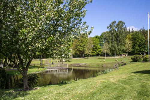 a pond in a park with a tree and grass at Fjelsted Skov Hotel & Konference in Ejby