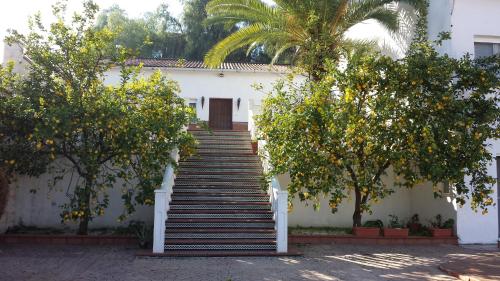 Casa Rural Villa Samuel (Spanje Puente-Genil) - Booking.com