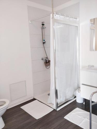 une salle de bain avec douche et toilettes dans l'établissement Cosy Lodge Studio confortable et spacieux avec jardin, à Villeneuve-lès-Maguelone