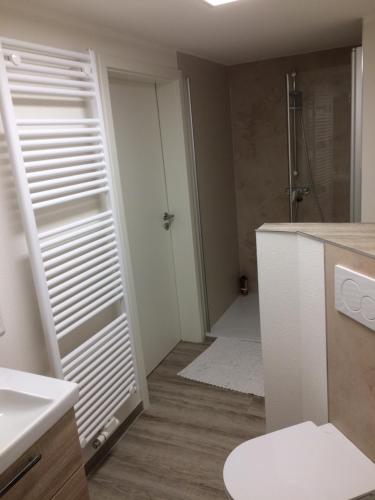 a bathroom with a shower and a toilet and a sink at Ferienwohnung am Mozarthügel in Warstein