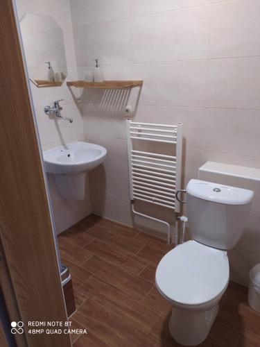 a bathroom with a toilet and a sink at Penzion Demi in Stará Lesná