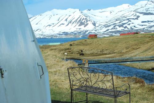 a bench sitting in a field with a snow covered mountain at Sky sighting Iglúhús - Stay'in Árbakki in Litli-Árskógssandur