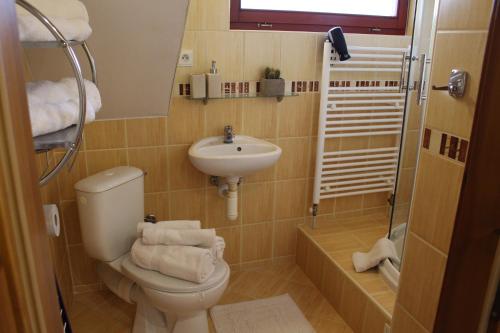 a small bathroom with a toilet and a sink at Privat Beata in Hrabušice