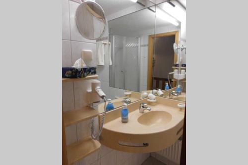 a bathroom with a sink and a mirror at Bayerwald Appartement in Sankt Englmar