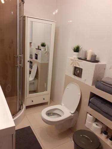a white bathroom with a toilet and a shower at Apartament Enjoy Modlnica okolice Krakowa i Ojcowa in Modlnica