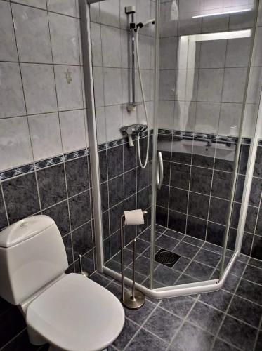 a bathroom with a white toilet and a shower at Sinnes Fjellstue Apartment 1F in Tjørhom