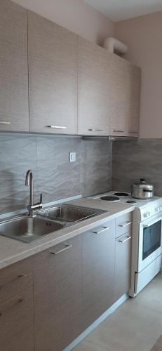 Η κουζίνα ή μικρή κουζίνα στο SEA VIEW TONIAS APARTMENTS Aphrodite