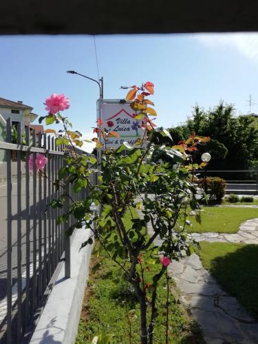 a tree with flowers growing next to a fence at Villa Luisa B&B in Candelo