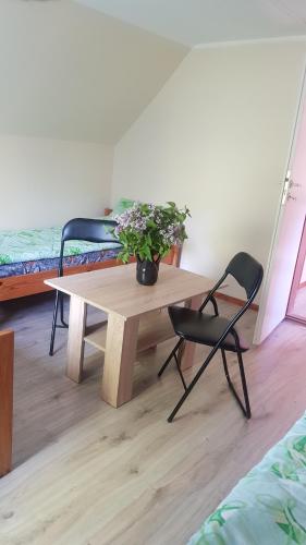 a wooden table with a potted plant and a chair at Zacisze in Kukle