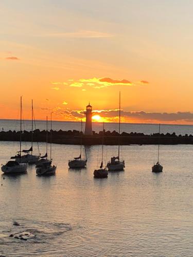 a group of boats in the water with a lighthouse at Argo Apartments in Wollongong