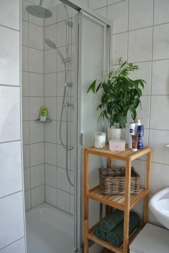 a bathroom with a shower and a plant on a shelf at Rheinau Apartment in Memprechtshofen