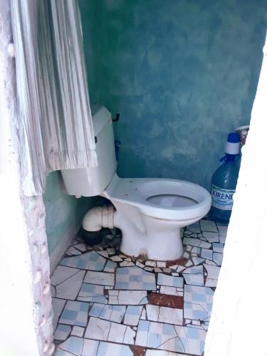a bathroom with a toilet in a green wall at Chez Bethy Jungle et Océan in Abene