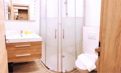 a bathroom with a shower and a toilet and a sink at Hotel Sonnhof in Wiesing