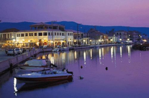Φυσικό τοπίο κοντά σε αυτό το διαμέρισμα