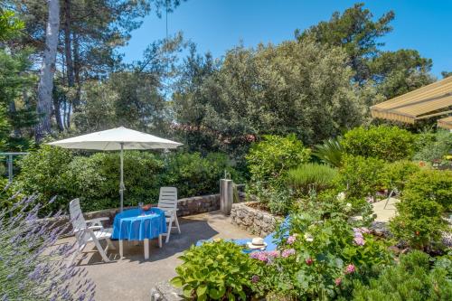 Gallery image of Apartments Adri in Cunski