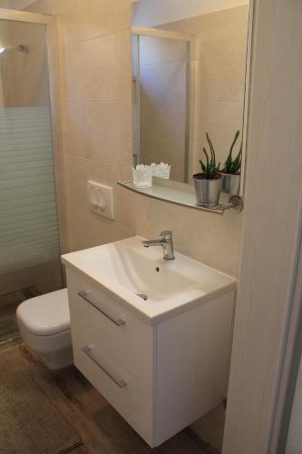 ein Badezimmer mit einem Waschbecken, einem WC und einem Spiegel in der Unterkunft Apartmani Klaudija in Valun