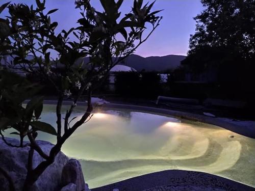 a small swimming pool with a tree in a yard at Iacovino Country House in Sarzana