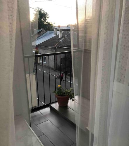 a balcony with a potted plant on a window sill at Квартира подобово, погодинно (Центр) Стрий in Stryi