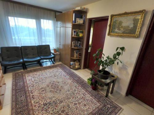 ein Wohnzimmer mit einem Sofa und einem Teppich in der Unterkunft Moj salaš in Novi Sad