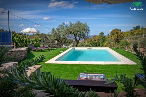 ein Pool in einem Garten mit grünem Gras in der Unterkunft Casa da Fonte Limpa in Mirandela