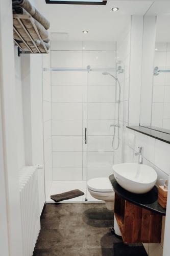 a bathroom with a toilet and a sink and a shower at Ferienwohnung Alte Wäscherei in Kitzingen