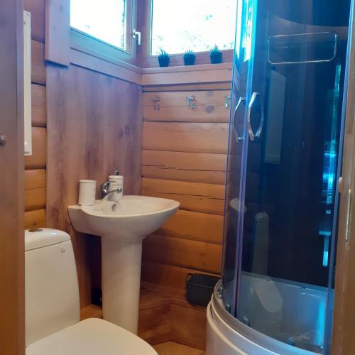 ein Badezimmer mit Waschbecken, Toilette und Dusche in der Unterkunft Zīlīšu holiday house in Jūrmala
