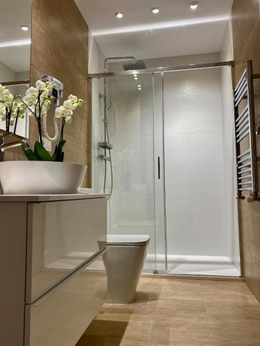 ein Badezimmer mit Dusche, Toilette und Waschbecken in der Unterkunft Harpazul in Catoira