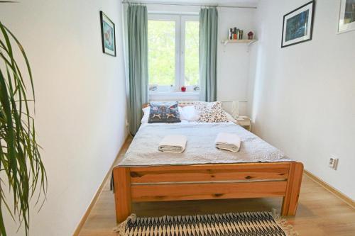 1 dormitorio con 1 cama en una habitación con ventana en Apartament Bazatatry Słoneczny en Zakopane