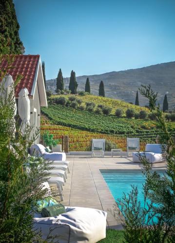a patio with chairs and a swimming pool and a vineyard at Quinta da Salada - Turismo Rural in Lamego