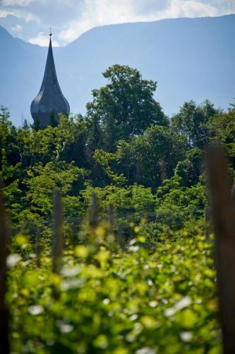 a church steeple in the distance with a field of trees at Weingut Stuck in Appiano sulla Strada del Vino