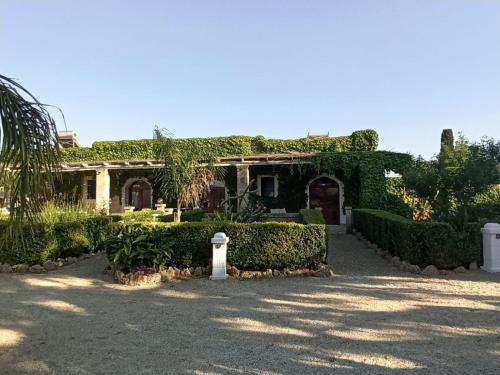 Agriturismo Tenuta Mazzetta – Photos 3