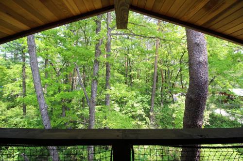 a view of a forest from a window at Hygge Chalet Hakuba in Hakuba