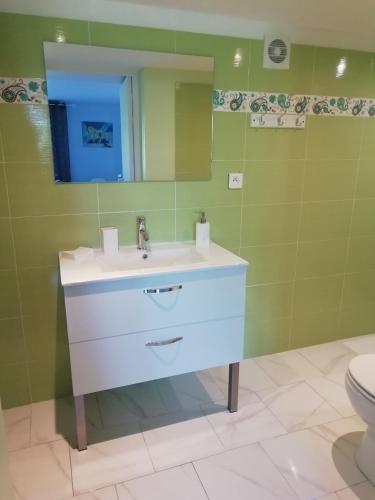 une salle de bain avec un lavabo et des toilettes dans l'établissement Gîte le pastel, à Puéchoursi