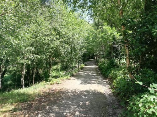 a dirt road with trees on both sides at Albergue Camiño Real in Sigüeiro